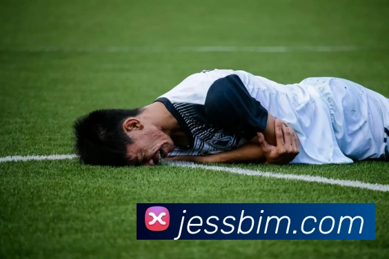 bsports体育网页版服务体系